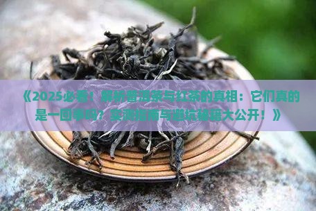 印象普洱茶是红茶吗