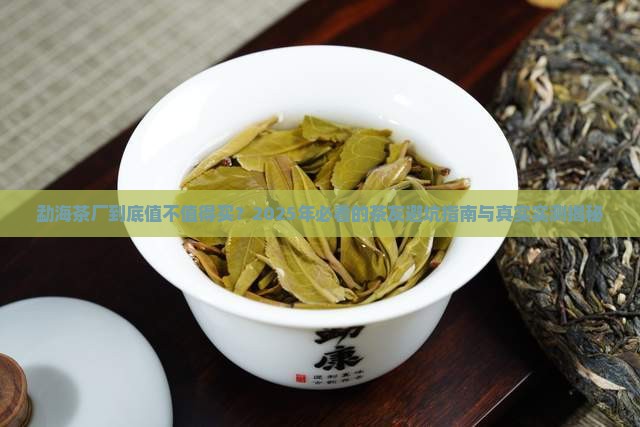 勐海茶厂怎么样
