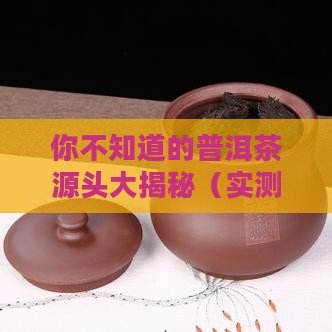 中国的普洱茶是哪里的