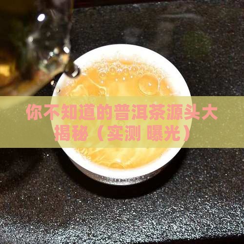 中国的普洱茶是哪里的