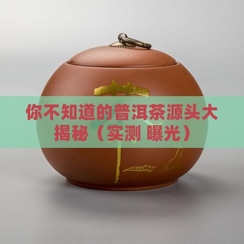 中国的普洱茶是哪里的