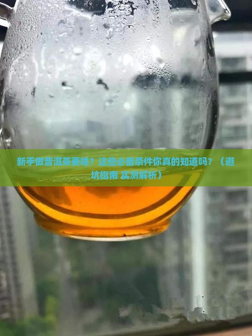 入门做普洱茶必备的条件