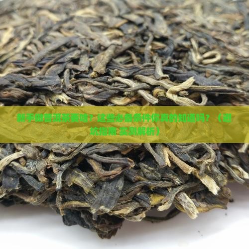入门做普洱茶必备的条件