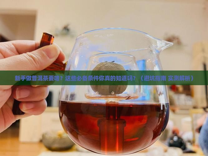入门做普洱茶必备的条件