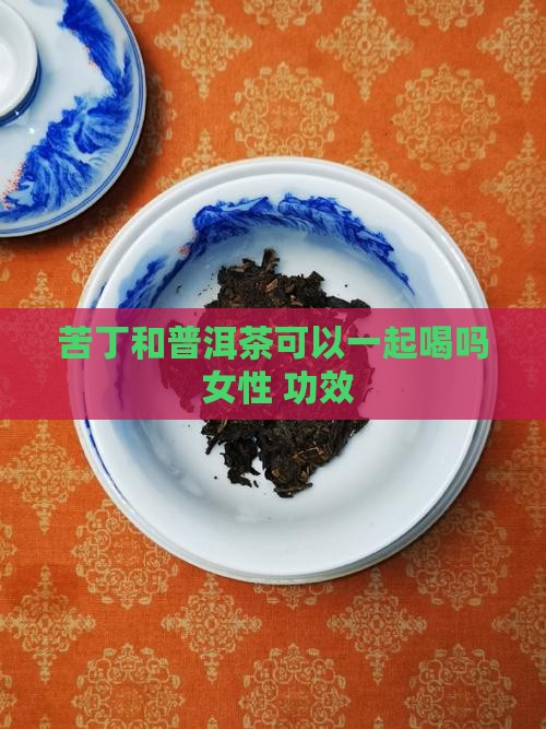 苦丁和普洱茶可以一起喝吗