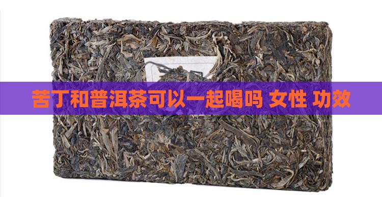 苦丁和普洱茶可以一起喝吗