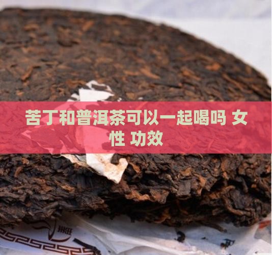 苦丁和普洱茶可以一起喝吗