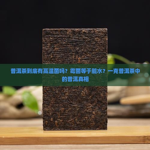普洱茶有高温菌吗