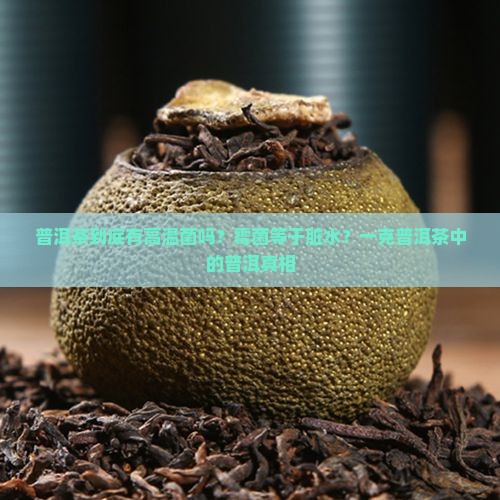 普洱茶有高温菌吗