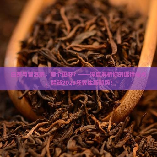 白茶与普洱茶的哪个更好