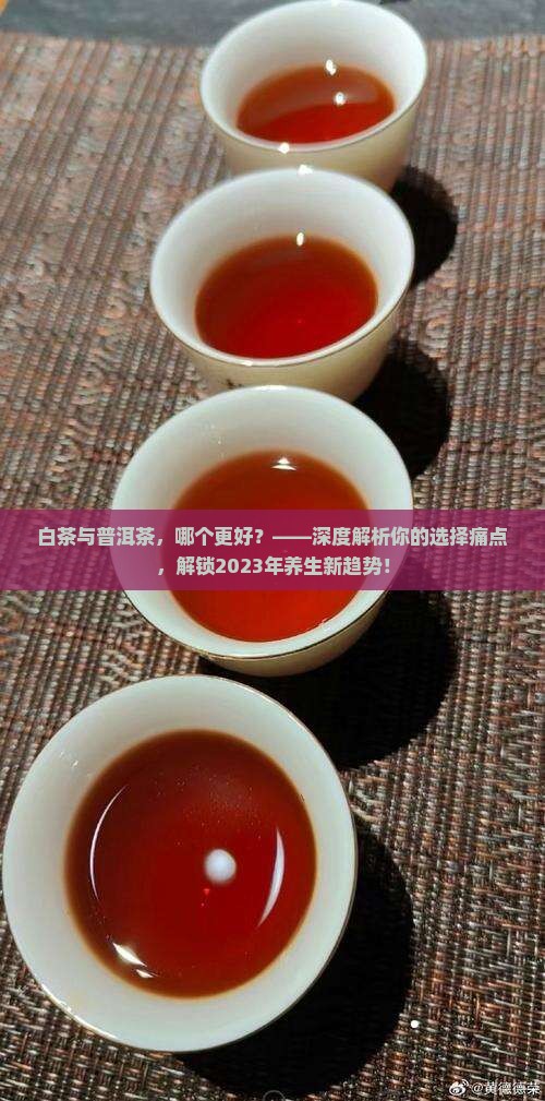 白茶与普洱茶的哪个更好