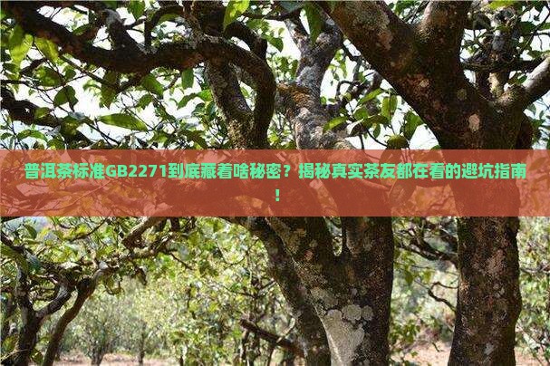 普洱茶标准gb2271
