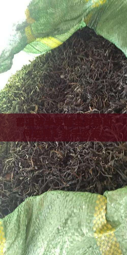 普洱茶半发酵全发酵