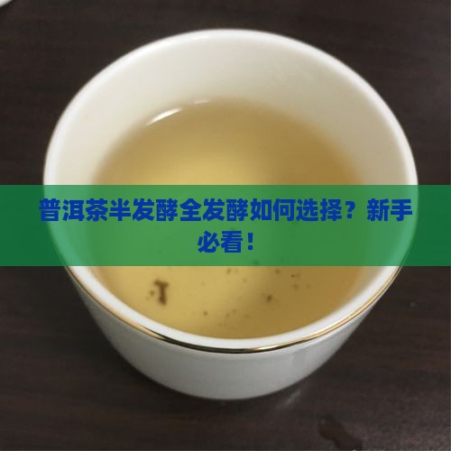 普洱茶半发酵全发酵