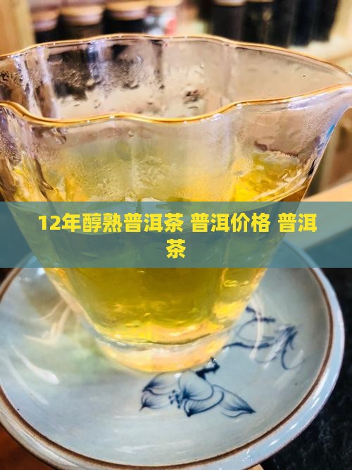 12年醇熟普洱茶