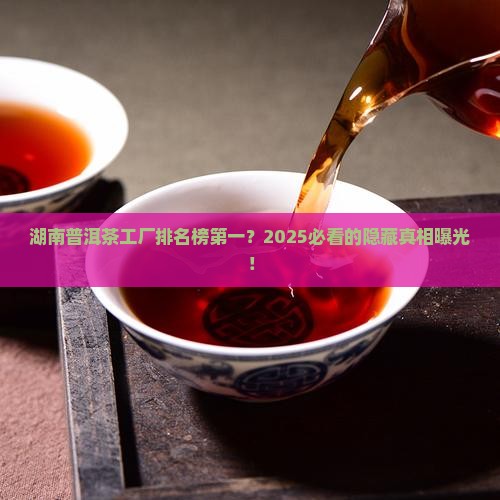 湖南普洱茶工厂排名榜第一