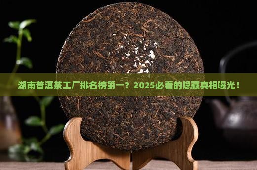 湖南普洱茶工厂排名榜第一