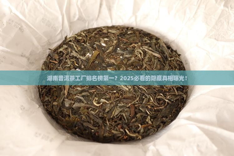 湖南普洱茶工厂排名榜第一