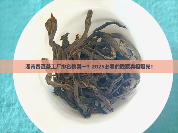 湖南普洱茶工厂排名榜第一