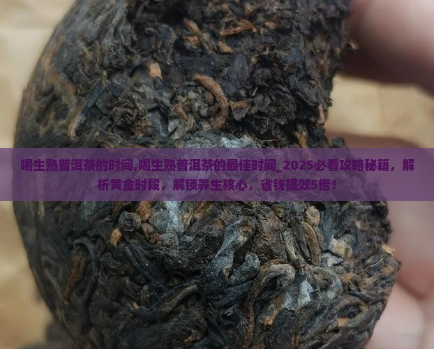 喝生熟普洱茶的时间