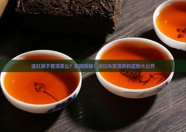 滇红属于普洱茶么