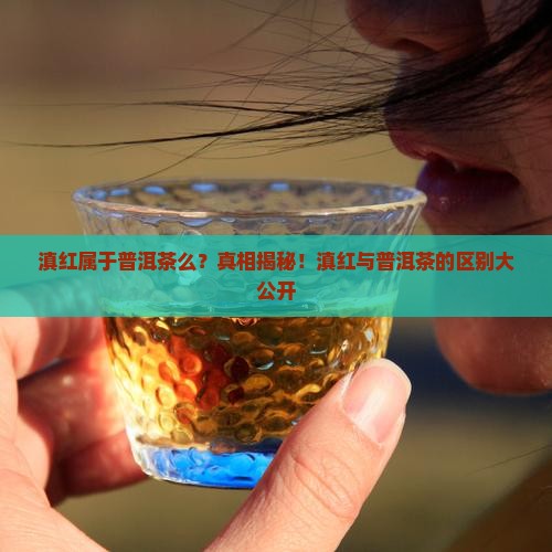 滇红属于普洱茶么