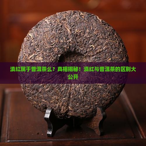 滇红属于普洱茶么