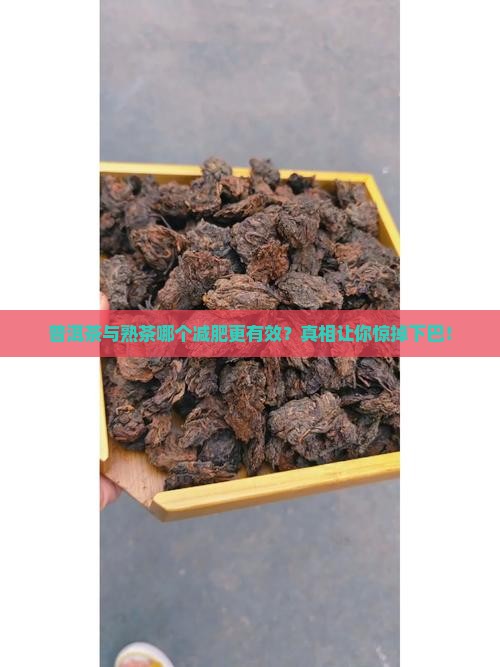 普洱茶与熟茶哪个减肥