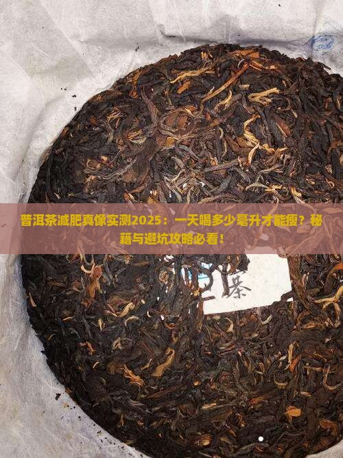 普洱茶一天喝多少毫升减肥