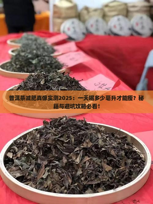 普洱茶一天喝多少毫升减肥