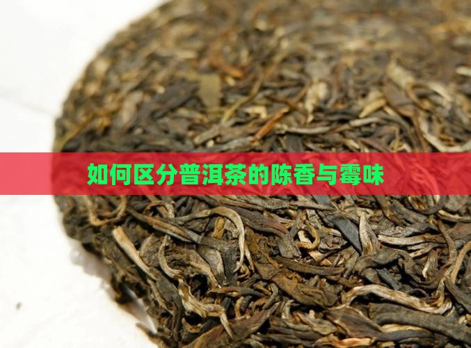 如何区分陈香普洱茶
