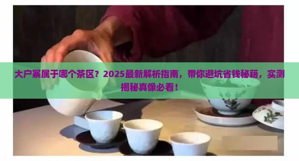 大户寨属于哪个茶区