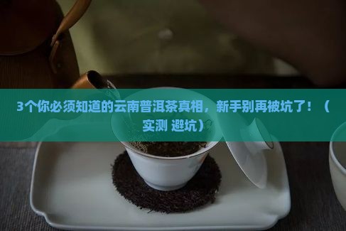 云南普洱茶产品特点