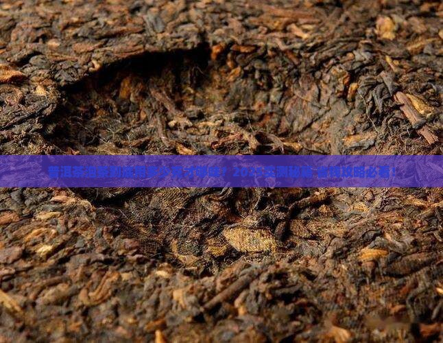 普洱茶泡茶用多少克的