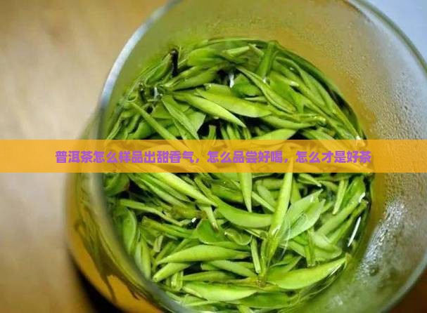 普洱茶怎么样品出甜香气