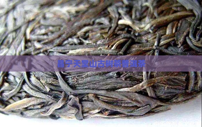 昌宁天堂山古树茶普洱茶