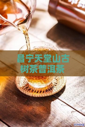 昌宁天堂山古树茶普洱茶