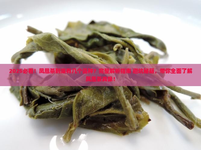 凤凰茶有几个品种