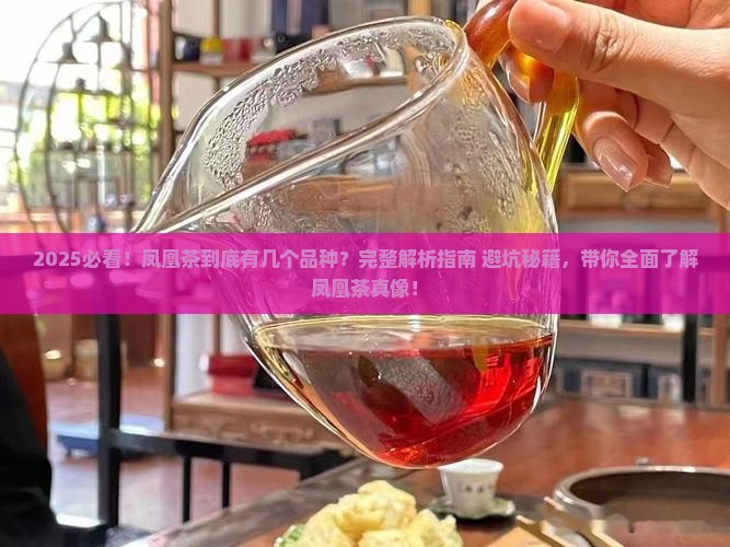 凤凰茶有几个品种