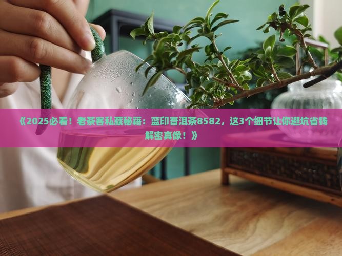 蓝印普洱茶8582