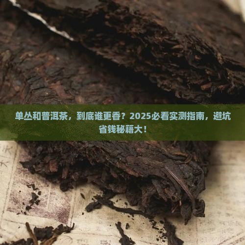单丛和普洱茶哪个