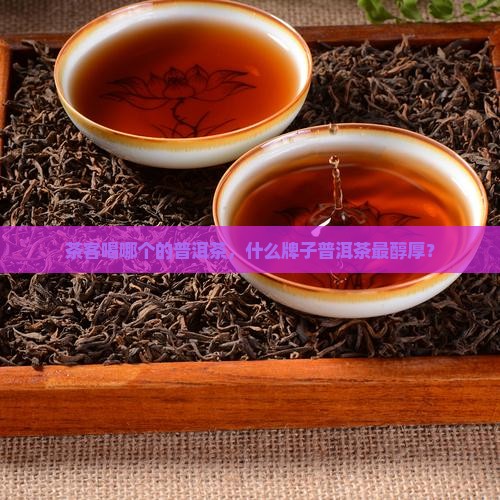 老茶客喝什么牌子的普洱茶最好