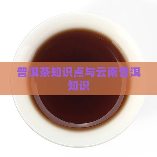 普洱茶专家知识点