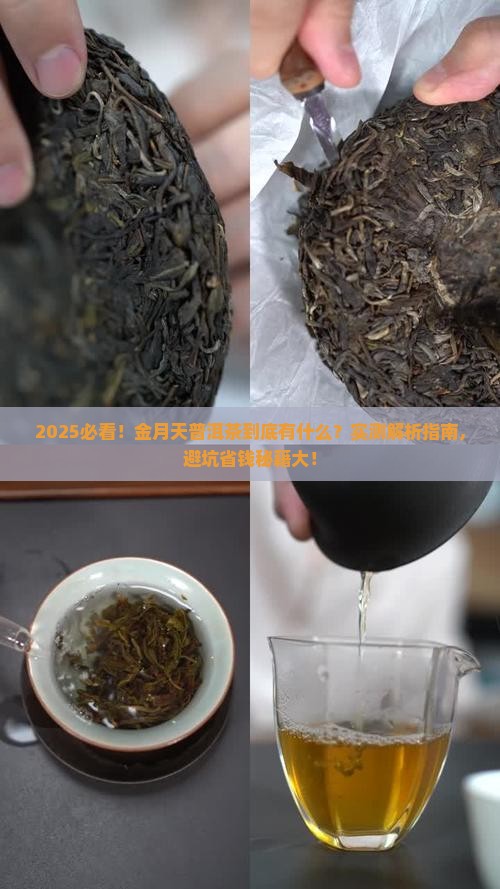 金月天普洱茶有什么意义