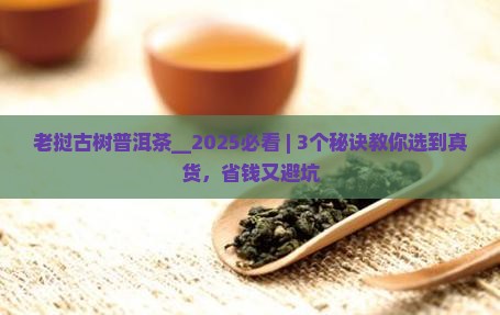 老挝古树普洱茶