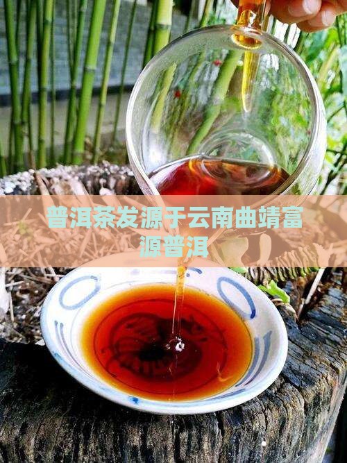 普洱茶发源于曲靖富源