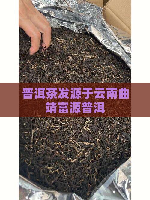 普洱茶发源于曲靖富源