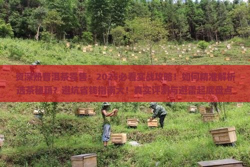 资深熟普洱茶零售