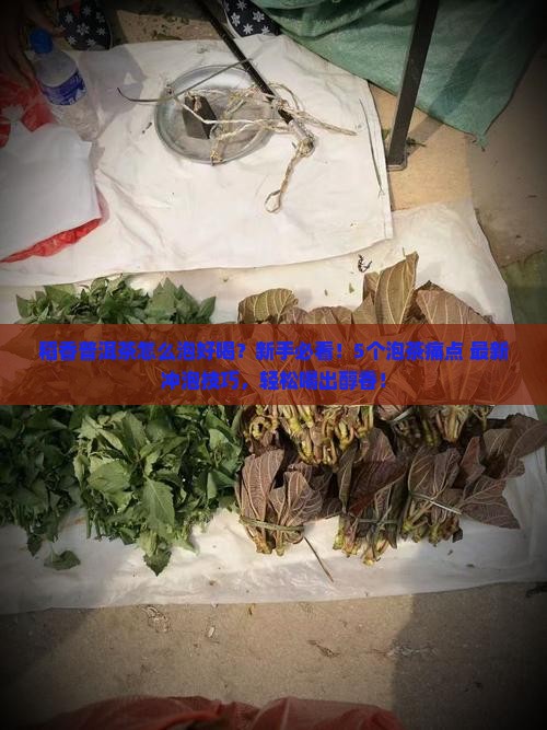 稻香普洱茶怎么泡好喝