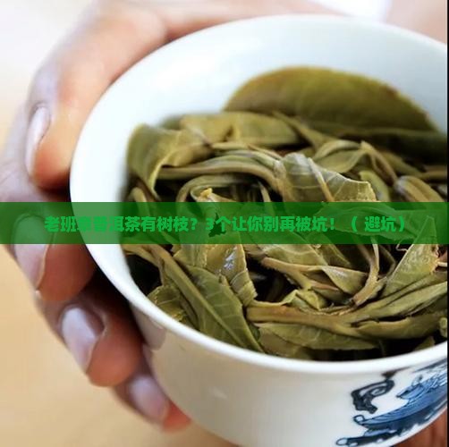 老班章普洱茶有树枝正常吗